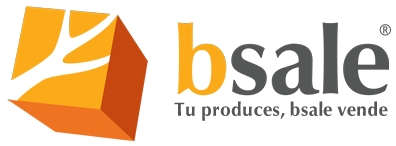 Aplicación Web de Venta – B-Sale